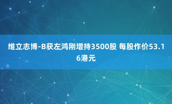 维立志博-B获左鸿刚增持3500股 每股作价53.16港元