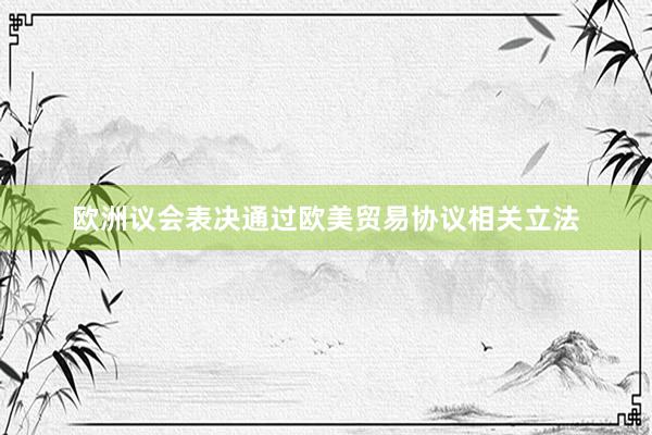 欧洲议会表决通过欧美贸易协议相关立法