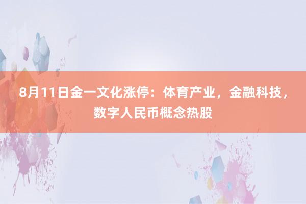 8月11日金一文化涨停：体育产业，金融科技，数字人民币概念热股