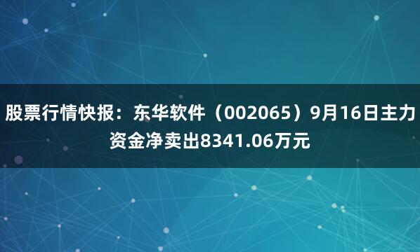 股票行情快报：东华软件（002065）9月16日主力资金净卖出8341.06万元