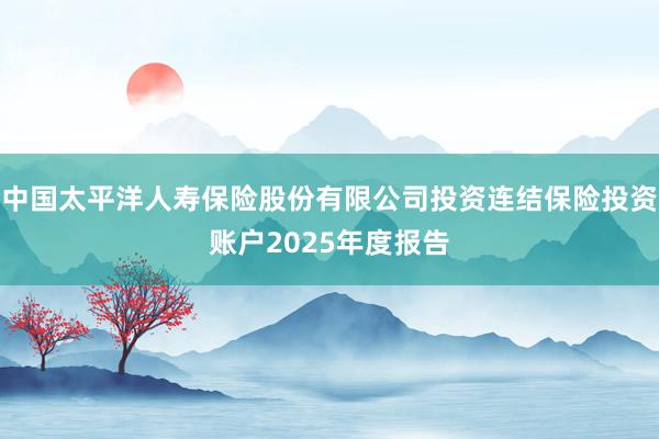 中国太平洋人寿保险股份有限公司投资连结保险投资账户2025年度报告