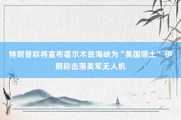 特朗普称将宣布霍尔木兹海峡为“美国领土” 伊朗称击落美军无人机