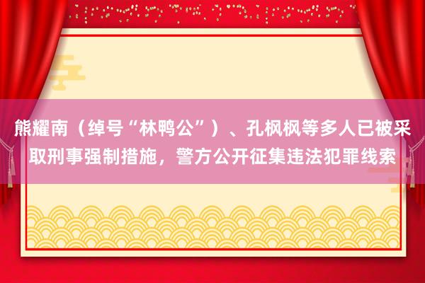 熊耀南（绰号“林鸭公”）、孔枫枫等多人已被采取刑事强制措施，警方公开征集违法犯罪线索