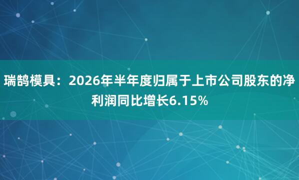瑞鹄模具:2026年半年度归属于上市公司股东的净利润同比增长6.15%