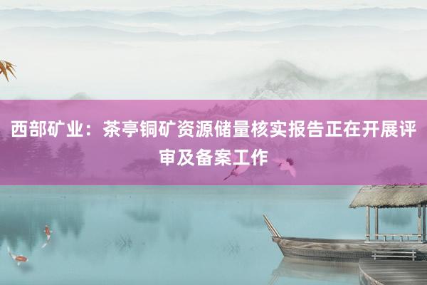 西部矿业：茶亭铜矿资源储量核实报告正在开展评审及备案工作