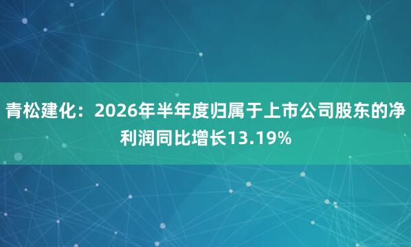 青松建化：2026年半年度归属于上市公司股东的净利润同比增长13.19%