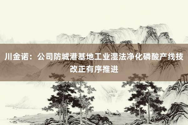 川金诺:公司防城港基地工业湿法净化磷酸产线技改正有序推进