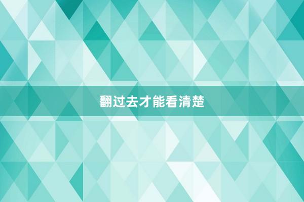 翻过去才能看清楚