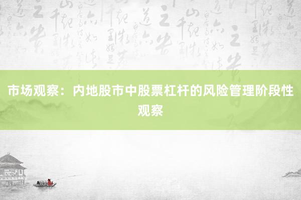 市场观察：内地股市中股票杠杆的风险管理阶段性观察