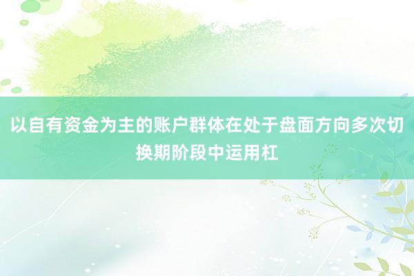 以自有资金为主的账户群体在处于盘面方向多次切换期阶段中运用杠